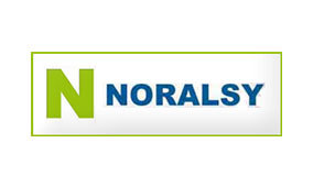 Visitez le site noralsy